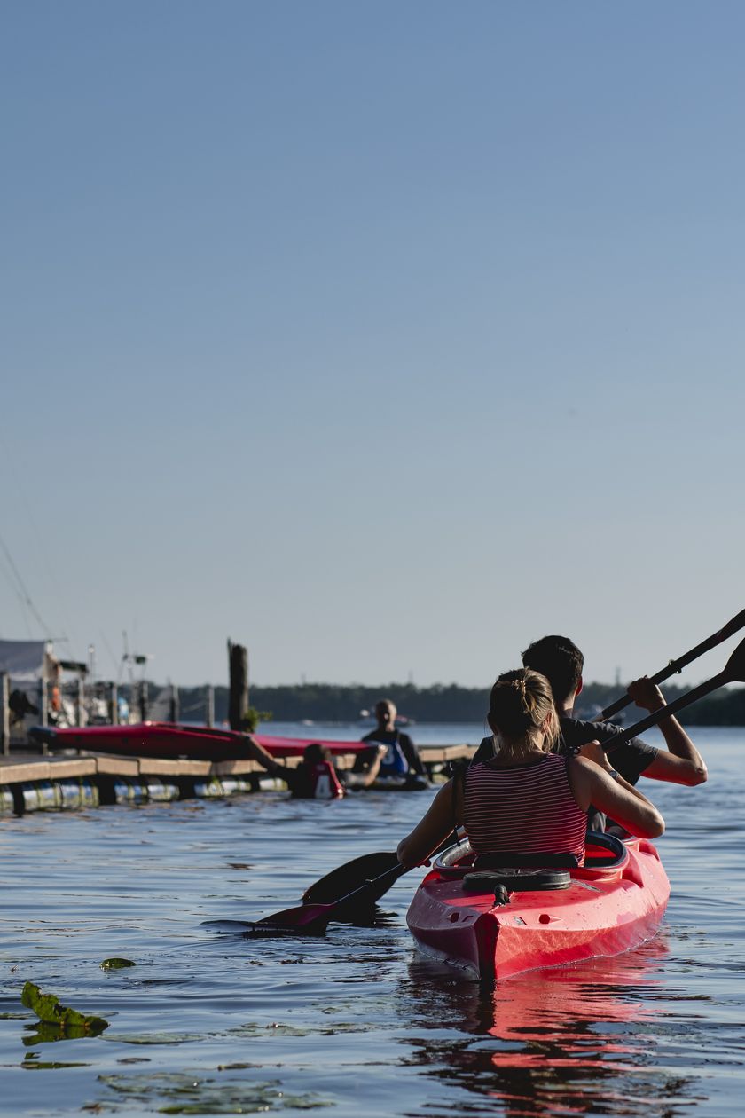 Two people are taking a tour around Hermannswerder Island in a paddleboat in the summer.